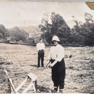 Shirehill Farm Marshfield  