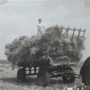 Shirehill Farm Marshfield  